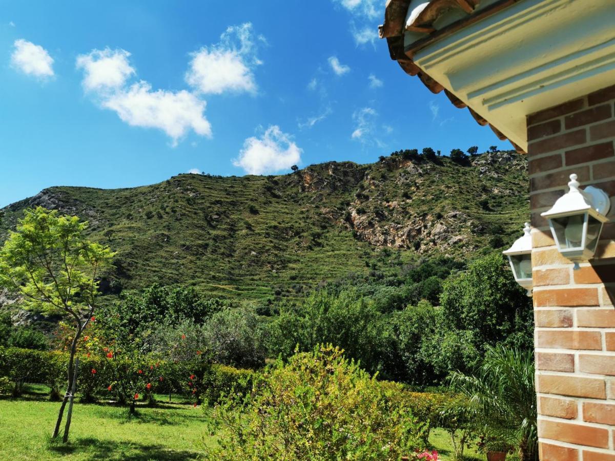 Il Mandorlo Villa Amantea Kültér fotó