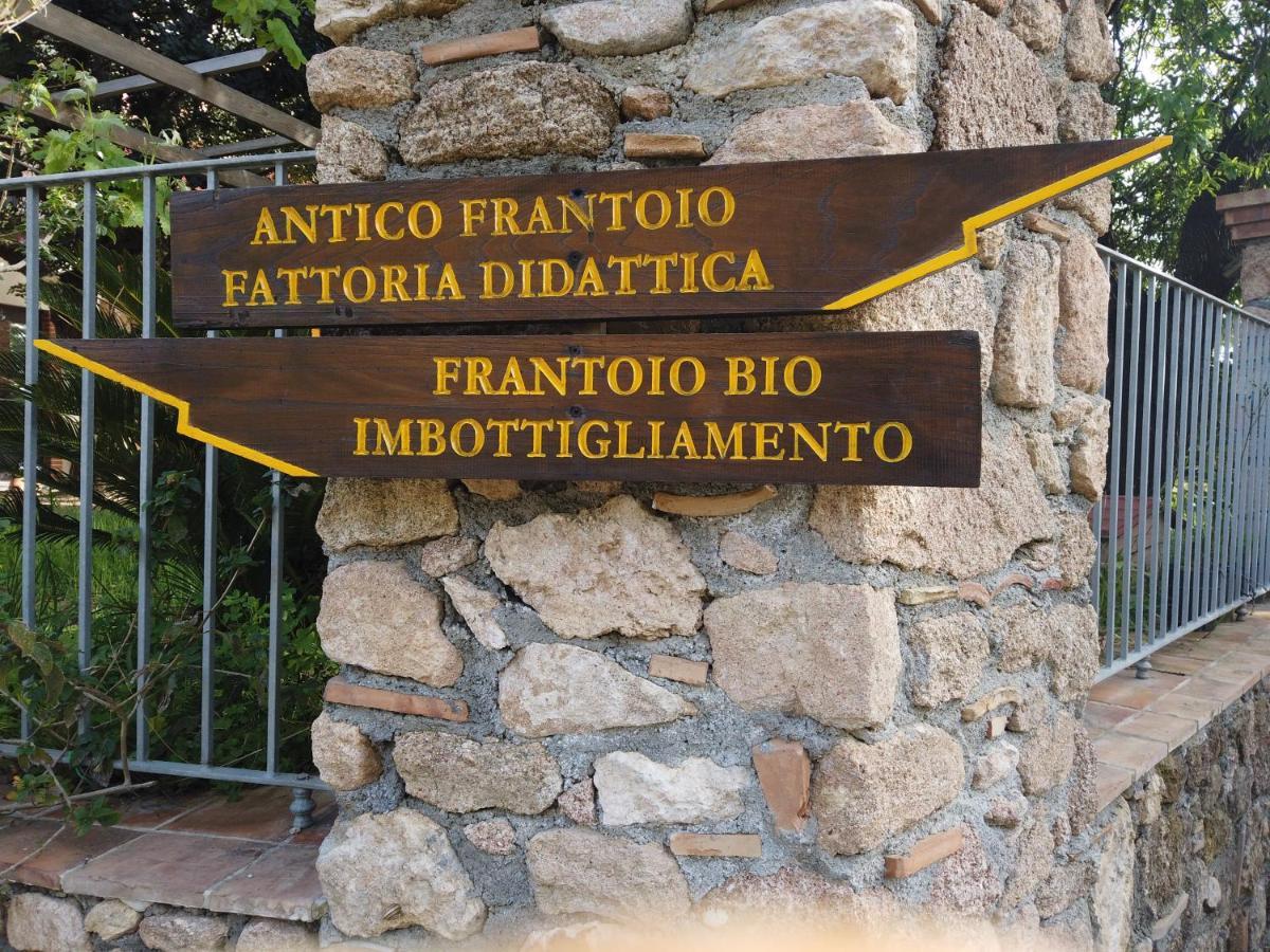 Il Mandorlo Villa Amantea Kültér fotó