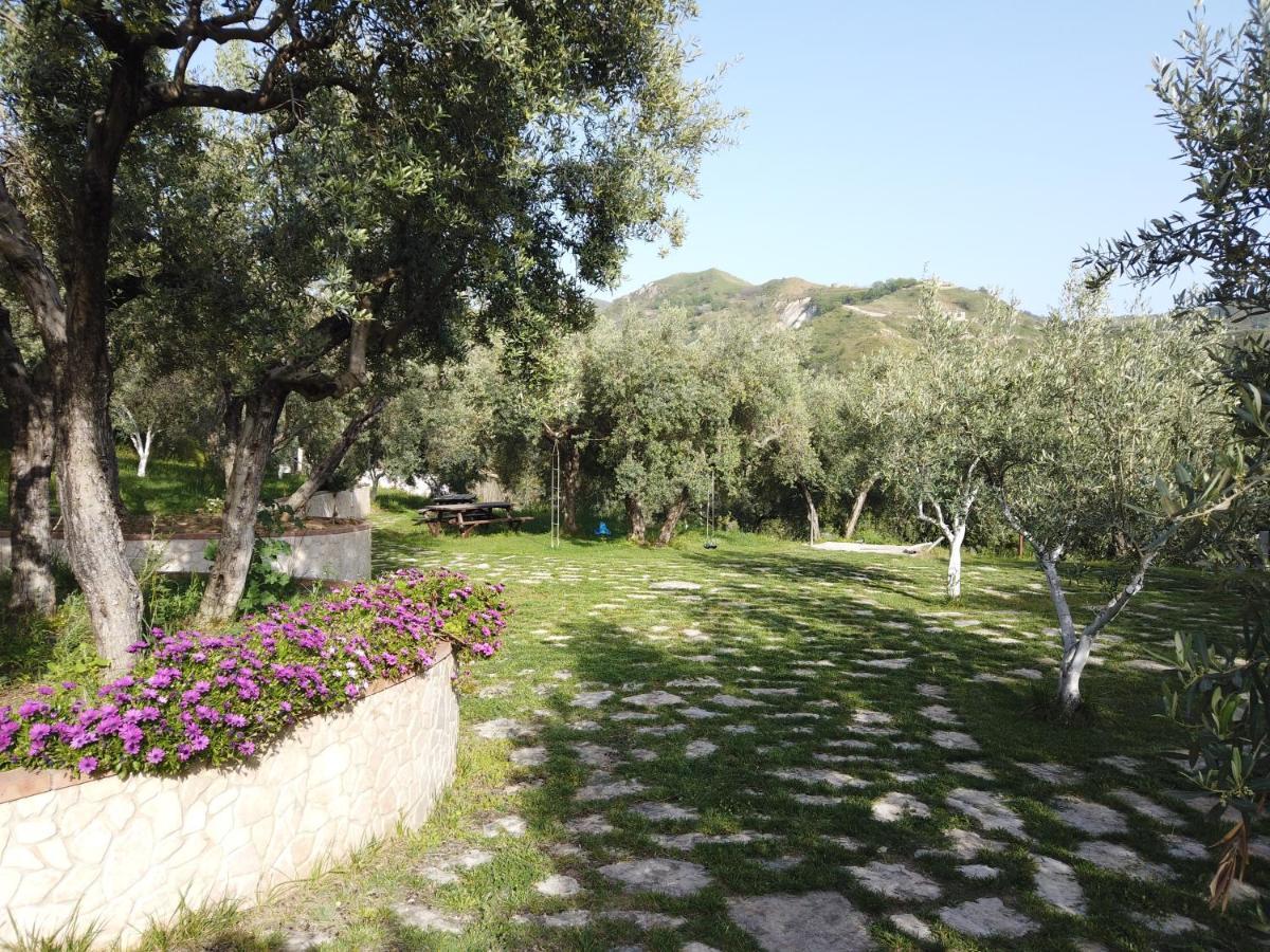 Il Mandorlo Villa Amantea Kültér fotó