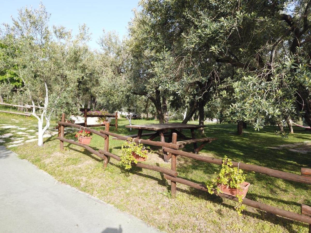 Il Mandorlo Villa Amantea Kültér fotó