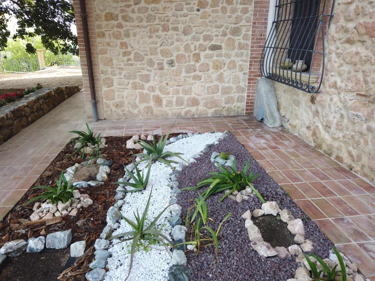 Il Mandorlo Villa Amantea Kültér fotó