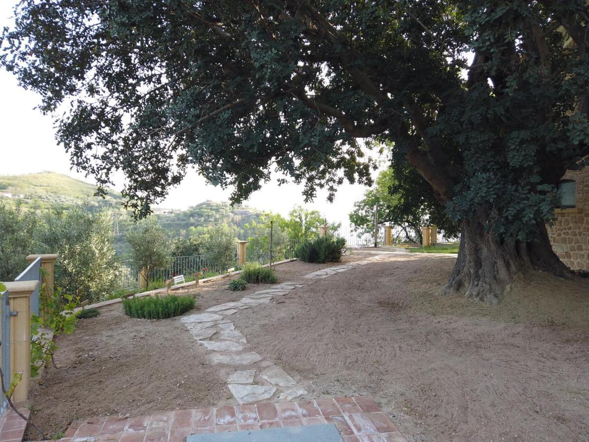 Il Mandorlo Villa Amantea Kültér fotó