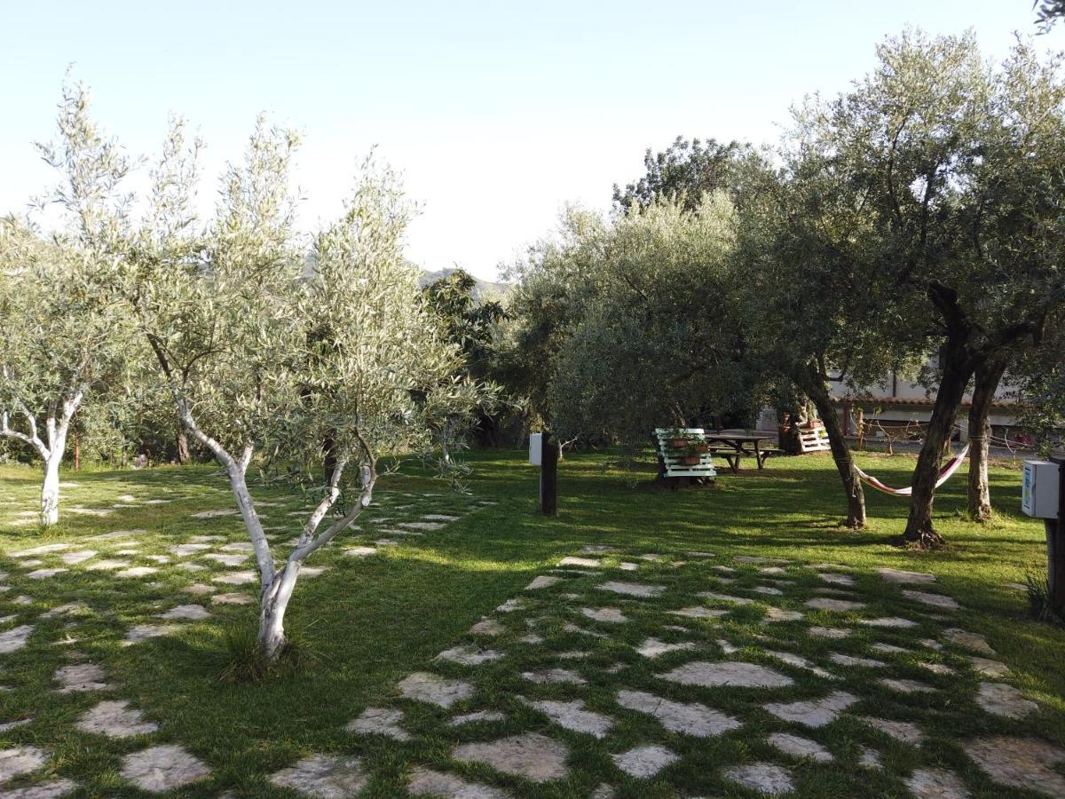 Il Mandorlo Villa Amantea Kültér fotó
