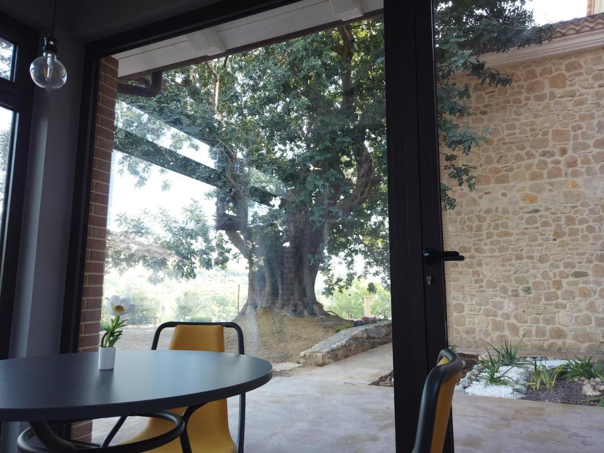 Il Mandorlo Villa Amantea Kültér fotó