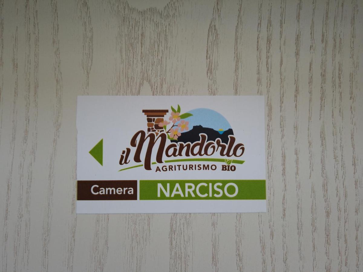 Il Mandorlo Villa Amantea Kültér fotó